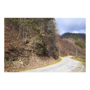 Mountain Forest Road - Wild Nature Romania Photo Print