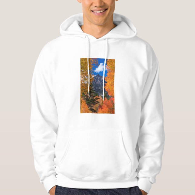Mountain framed in fall foliage, CA Hoodie (Front)