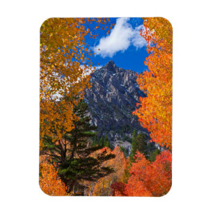 Mountain framed in fall foliage, CA Magnet