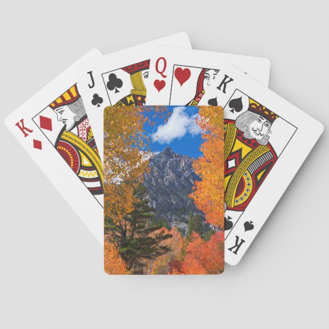 Mountain framed in fall foliage, CA Playing Cards (Back)