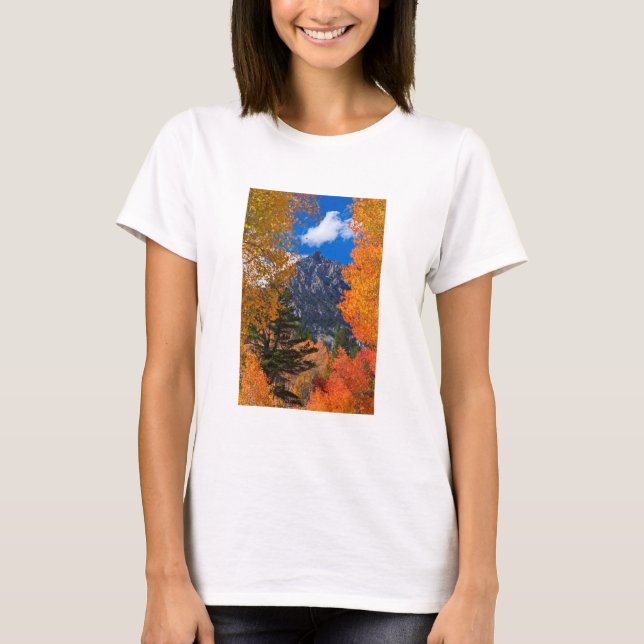 Mountain framed in fall foliage, CA T-Shirt (Front)