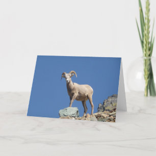 Mountain goat card