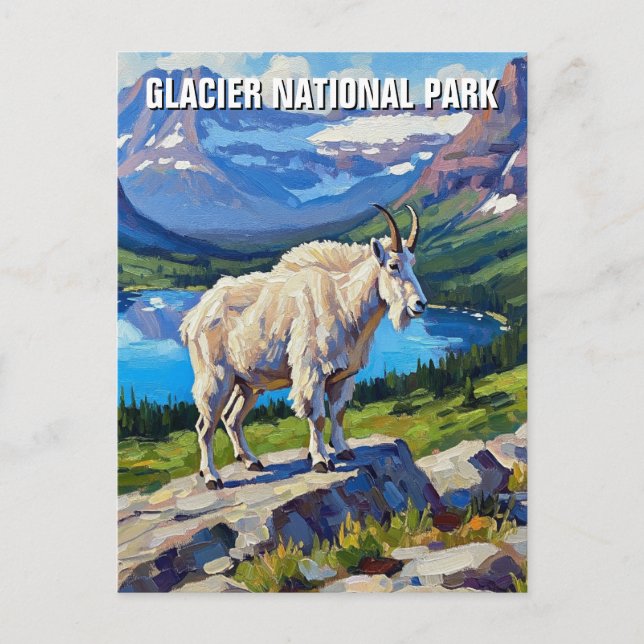 Mountain Goat in Glacier National Park Travel Postcard (Front)