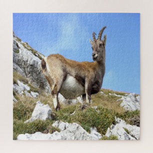 Mountain Goat Jigsaw Puzzle