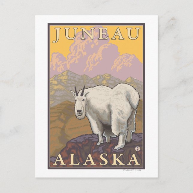 Mountain Goat - Juneau, Alaska Postcard (Front)