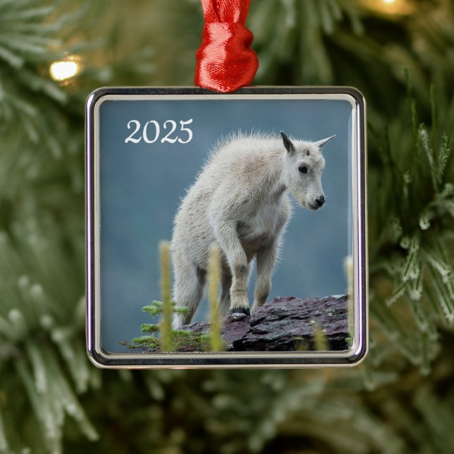 Mountain Goat Kid, Glacier National Park, Montana Metal Ornament (Tree)