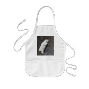 mountain goat kids apron