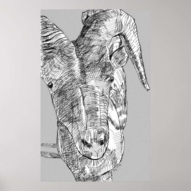 Mountain Goat Poster (Front)