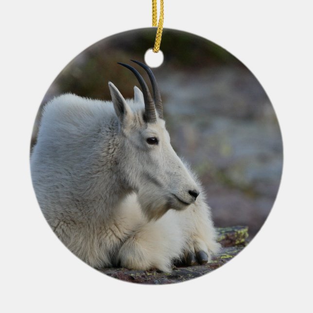 mountain goat resting ceramic tree decoration (Front)