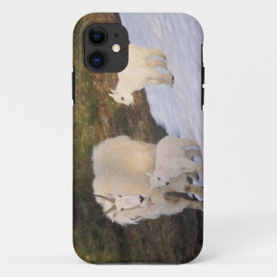 mountain goats iPhone 11 case