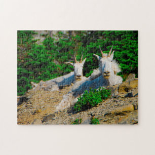 Mountain Goats Montana. Jigsaw Puzzle