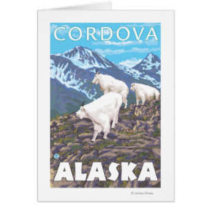 Mountain Goats Scene - Cordova, Alaska