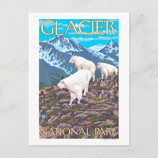 Mountain Goats Scene - Glacier National Park, Postcard (Front)