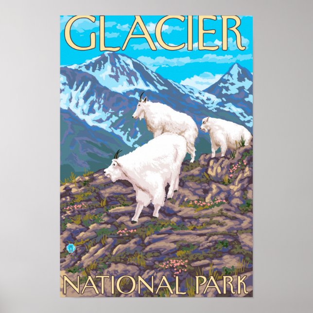 Mountain Goats Scene - Glacier National Park, Poster (Front)