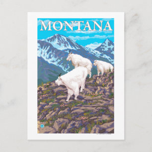 Mountain Goats Scene - Montana Postcard