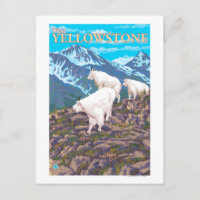 Mountain Goats Scene - West Yellowstone, MT