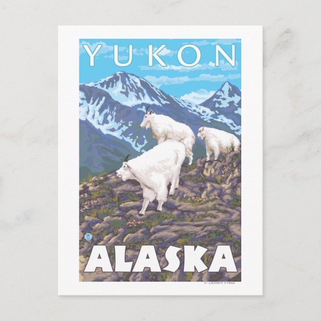 Mountain Goats Scene - Yukon, Alaska Postcard (Front)