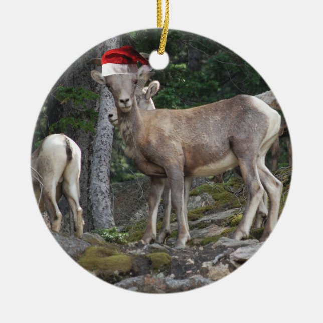 Mountain Goats wearing Santa Claus Hats Ceramic Ornament (Front)