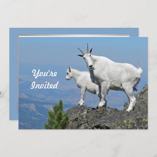 Mountain Goats White Wildlife Photo Birthday Invitation (Front/Back)