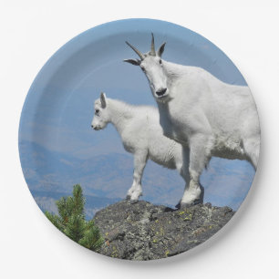 Mountain Goats White Wildlife Photo Paper Plate