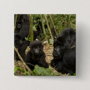 Mountain Gorilla, adult with young 2 15 Cm Square Badge