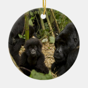 Mountain Gorilla, adult with young 2 Ceramic Ornament