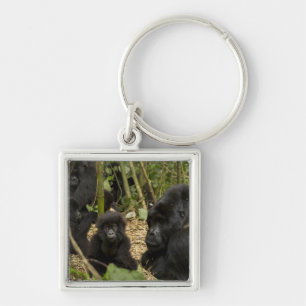 Mountain Gorilla, adult with young 2 Key Ring