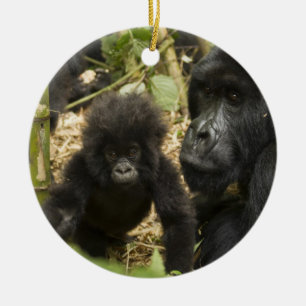 Mountain Gorilla, adult with young Ceramic Tree Decoration