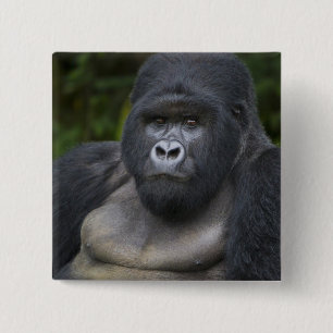 Mountain Gorilla and Silverback 15 Cm Square Badge
