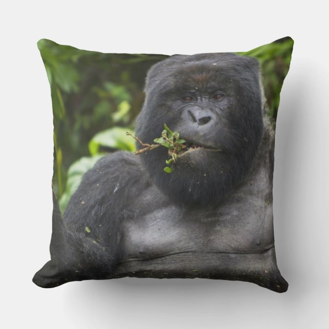 Mountain Gorilla and Silverback Cushion (Front)