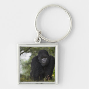 Mountain Gorilla and Silverback Key Ring