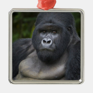 Mountain Gorilla and Silverback Metal Ornament