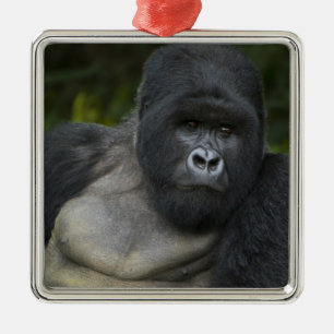 Mountain Gorilla and Silverback Metal Tree Decoration