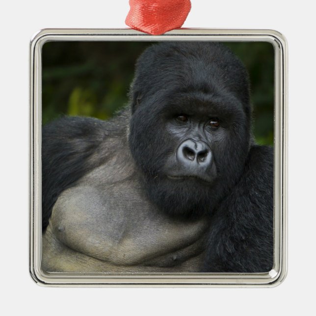 Mountain Gorilla and Silverback Metal Tree Decoration (Front)