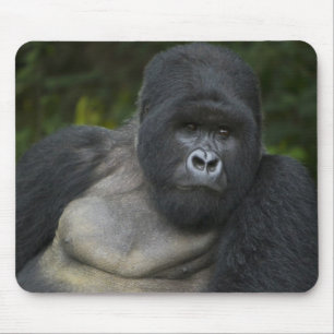 Mountain Gorilla and Silverback Mouse Pad