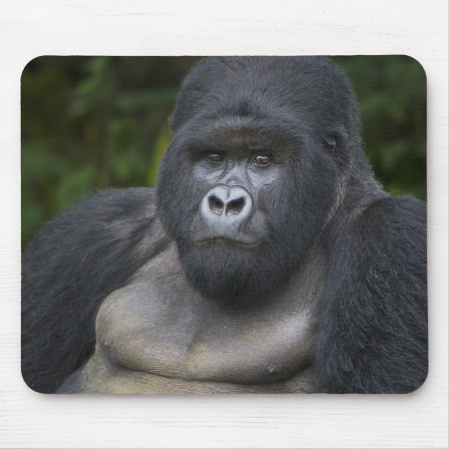 Mountain Gorilla and Silverback Mouse Pad (Front)