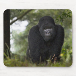 Mountain Gorilla and Silverback Mouse Pad