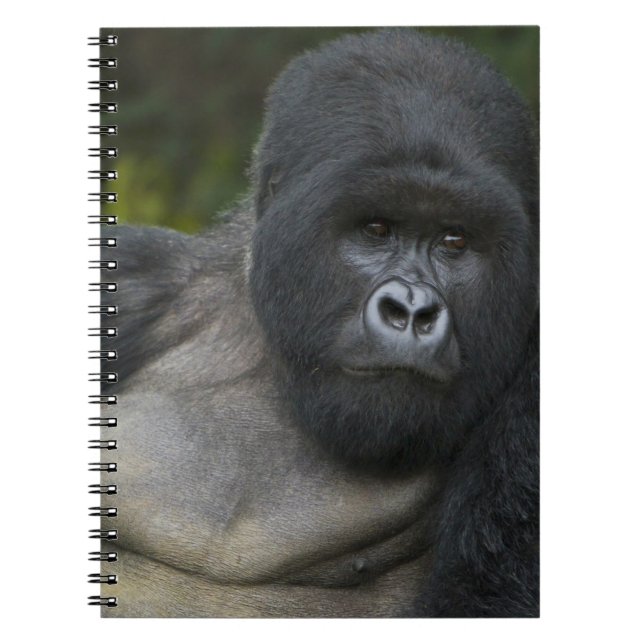 Mountain Gorilla and Silverback Notebook (Front)