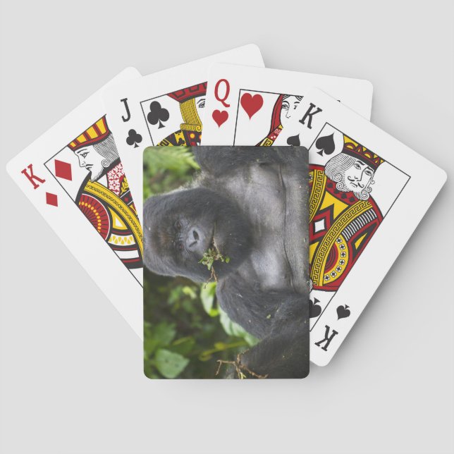 Mountain Gorilla and Silverback Playing Cards (Back)