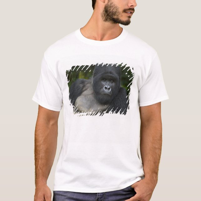 Mountain Gorilla and Silverback T-Shirt (Front)