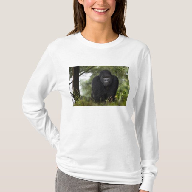 Mountain Gorilla and Silverback T-Shirt (Front)