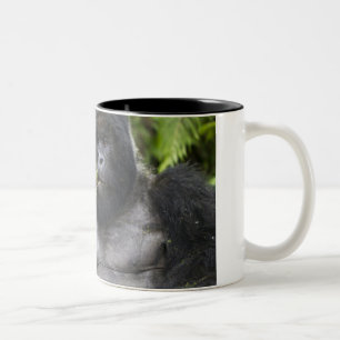 Mountain Gorilla and Silverback Two-Tone Coffee Mug