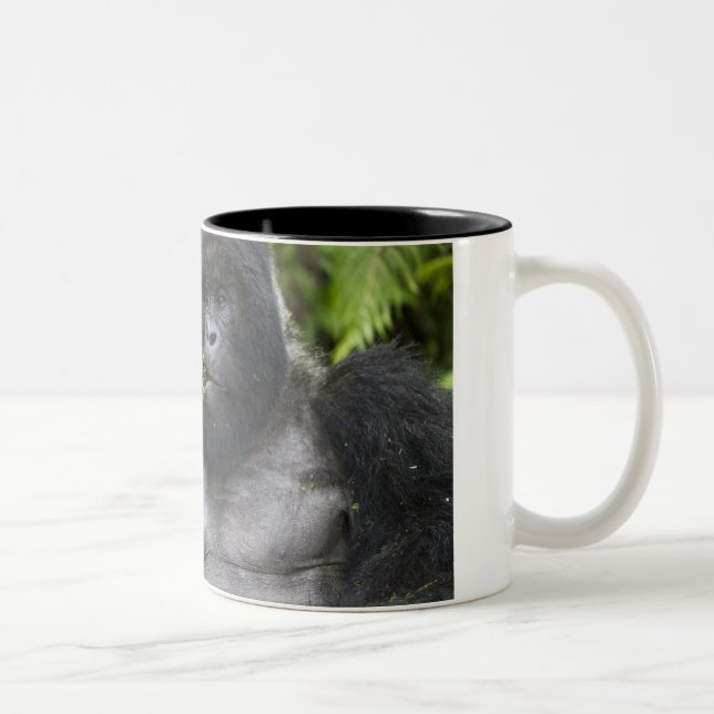 Mountain Gorilla and Silverback Two-Tone Coffee Mug (Right)