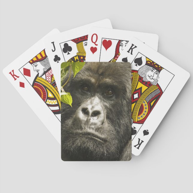 Mountain Gorilla, Gorilla beringei beringei, Playing Cards (Back)