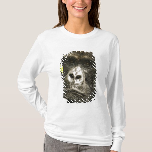 Mountain Gorilla, Gorilla beringei beringei, T-Shirt (Front)