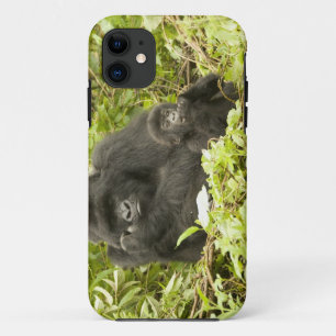 Mountain Gorilla, Gorilla beringei (formerly G. iPhone 11 Case