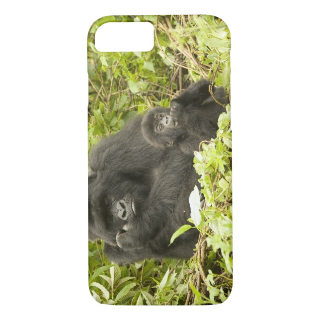 Mountain Gorilla, Gorilla beringei (formerly G. Case-Mate iPhone Case (Back)