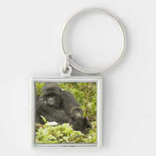Mountain Gorilla, Gorilla beringei (formerly G. Key Ring