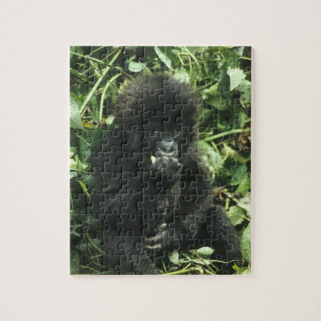 Mountain Gorilla, (Gorilla gorilla beringei), Jigsaw Puzzle (Vertical)