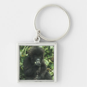 Mountain Gorilla, (Gorilla gorilla beringei), Key Ring